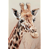 Girafe