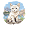 Burmilla Kitten Burmilla Cat
