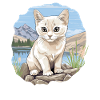 Burmilla Kitten Burmilla Cat