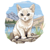 Burmilla Kitten Burmilla Cat