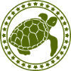 Turtle / Reptile - Reptile