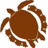 Turtle / Reptile - Reptile