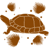 Turtle / Reptile - Reptile