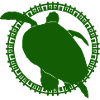 Turtle / Reptile - Reptile
