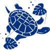 Turtle / Reptile - Reptile