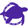 Turtle / Reptile - Reptile