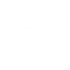 Avion Humour ulm