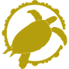 Turtle / Reptile - Reptile