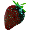 Strawberry, technical, high-tech, illustration