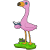 Flamingo Book