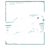 Anti-littering No Environmental Waste Recycle
