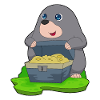 Mole Treasure Chest Gold