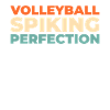 Volleyball Volleyballer