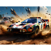 Rally Raid #3