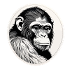 Aquarelles de singe