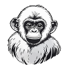 Aquarelles de singe