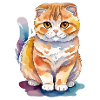 Scottish Fold Scottish Fold-Eared Cat