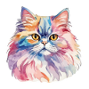 Aquarelles de chat persan