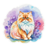 Aquarelles de chat persan