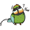 rainbow bee eater Nani
