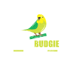 Budgerigar