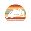 Geologist Stones Stone Collector