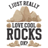 Geologist Stones Stone Collector