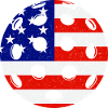 Pickleball USA BALL