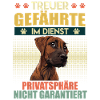 Rhodesian Ridgeback LOYAL COMPANION Ridgebacks