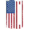 Painter Us Flag Painting