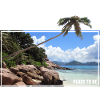 Seychelles Beach Vibe