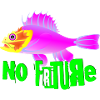 NO FRITURE