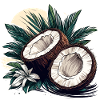 Coconut / Drink / Exotic / Tropical / Palm