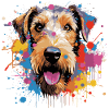 Drahthaar Foxterrier