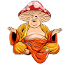 Hippie Mushrooms Shrooms Psychedelic Mushroomhead