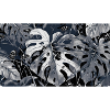 Monstera Pflanze Noir