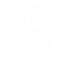 Un lapin cool, yo
