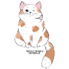 🐾 Rot-Weiße Katze 🐈