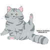 🐾 Grau getigerte Katze🐱