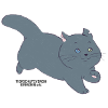 🐾 Schwarze Katze 🐈‍⬛