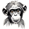T-shirt Chimpanze