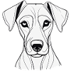 T-shirt Chien