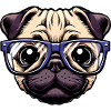 Nerdy pug with glasses