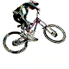 vtt mtb downhill
