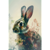 Lapin