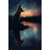 Renard