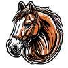 Pony / Pferd / Tier / reiten / Mähne