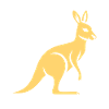 kangaroo