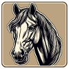 Poney / Cheval / Animal / Équitation / Crinière