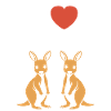Humour petit kangourou